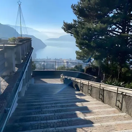 Castagno 1 Sentiero Del Viandante Bellano