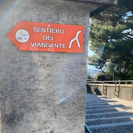 Castagno 1 Sentiero Del Viandante Bellano