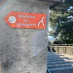 Castagno 1 Sentiero Del Viandante Bellano
